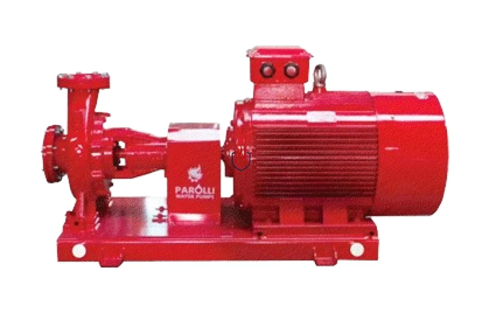 Máy bơm điện trục rời Parolli