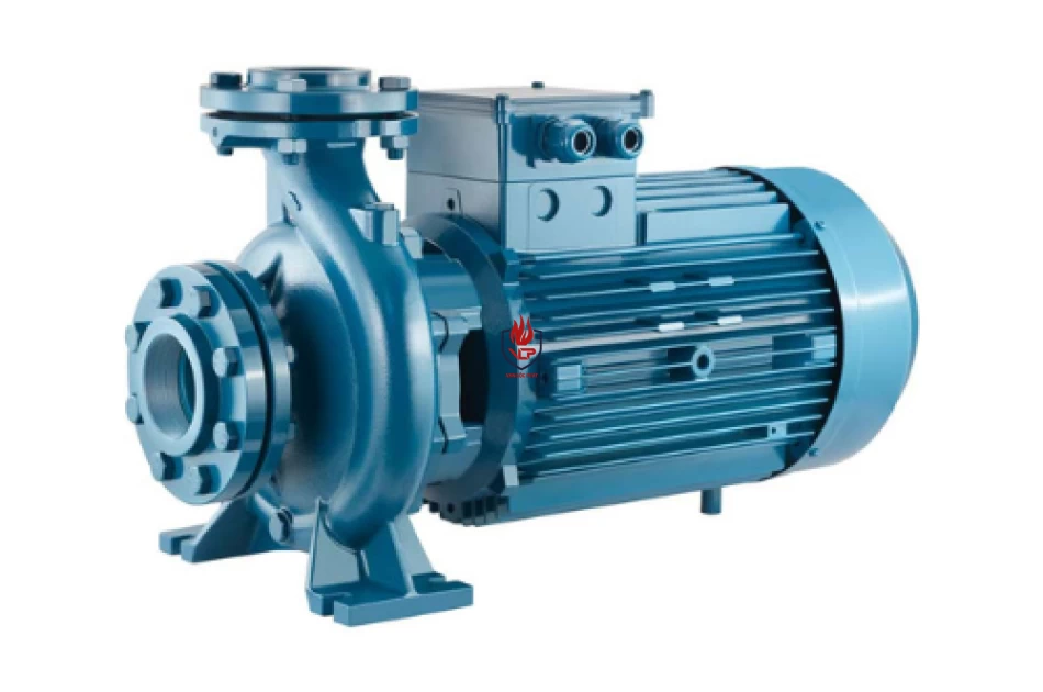 Máy bơm điện trục liền Parolli