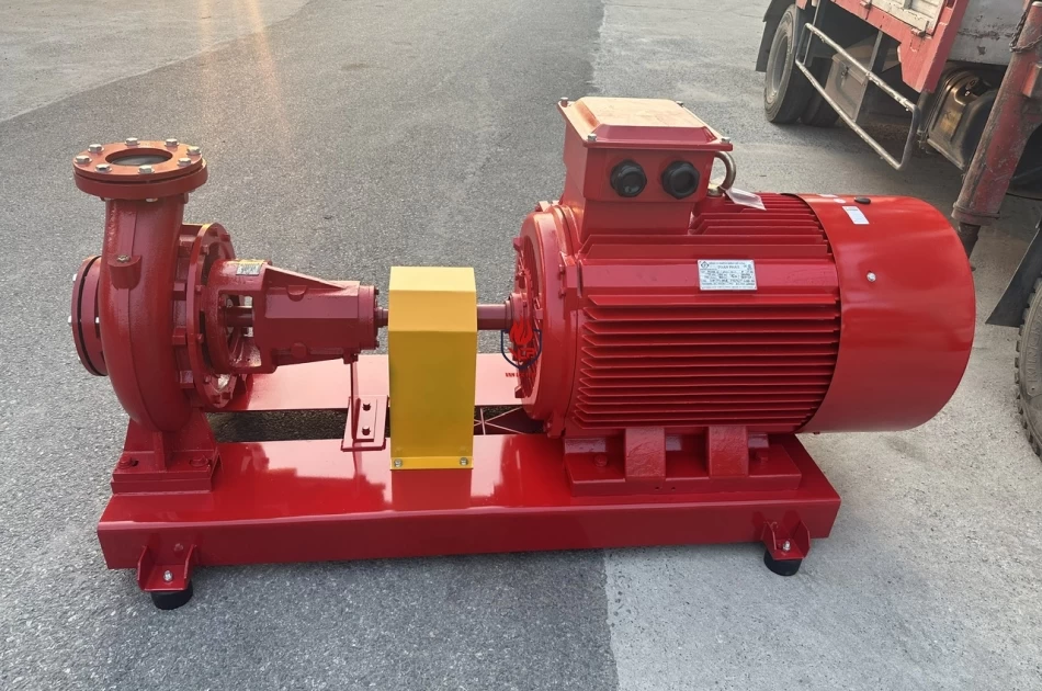 Máy bơm chữa cháy VNPY động cơ điện trục rời HLR125-315/110.
